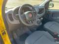 Fiat Panda MY24 1.0 Klima PDC Citypaket Jaune - thumbnail 12