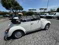 Volkswagen - thumbnail 13