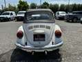 Volkswagen - thumbnail 6