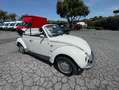 Volkswagen - thumbnail 15