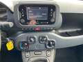Fiat Panda FIREFLY HYBRID Grau - thumbnail 7