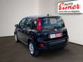 Fiat Panda FIREFLY HYBRID Grau - thumbnail 11