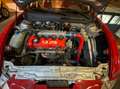 Alfa Romeo 147 1.9 JTD *Alfa CUP Sieger Auto* S. Star Rot - thumbnail 10