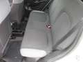Fiat Panda 1.2 Easy easypower Gpl 69cv my19 GARANTITA FULL OP Argento - thumbnail 8