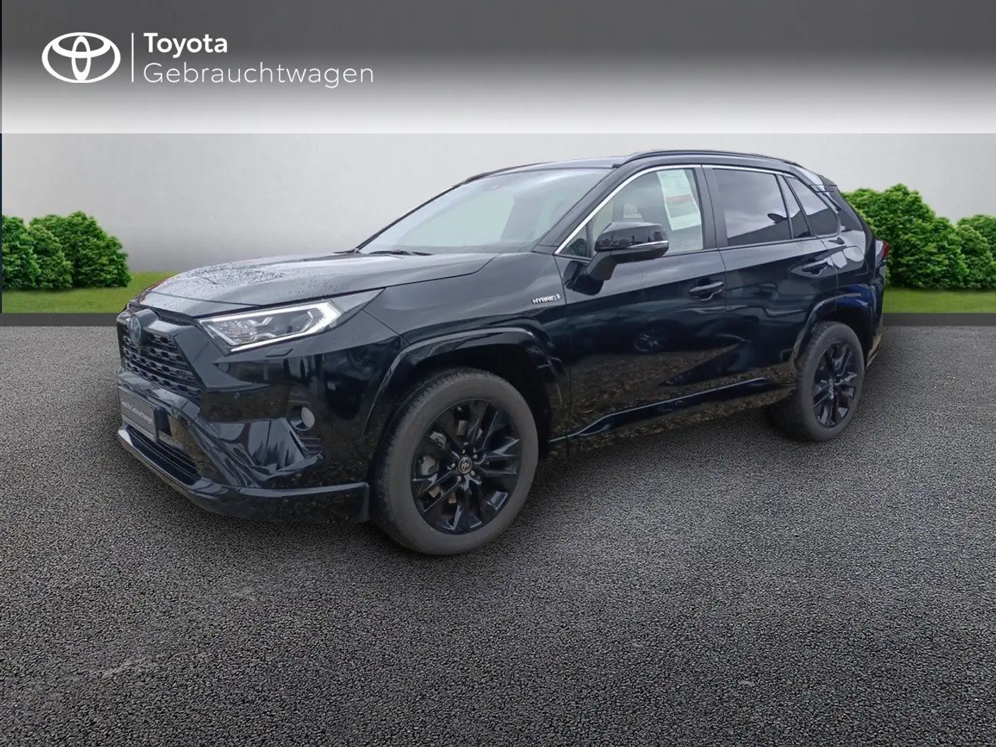 Toyota RAV 4 Hybrid 4x4 Black Edition, JBL, 360°, Leder, ... Schwarz - 2