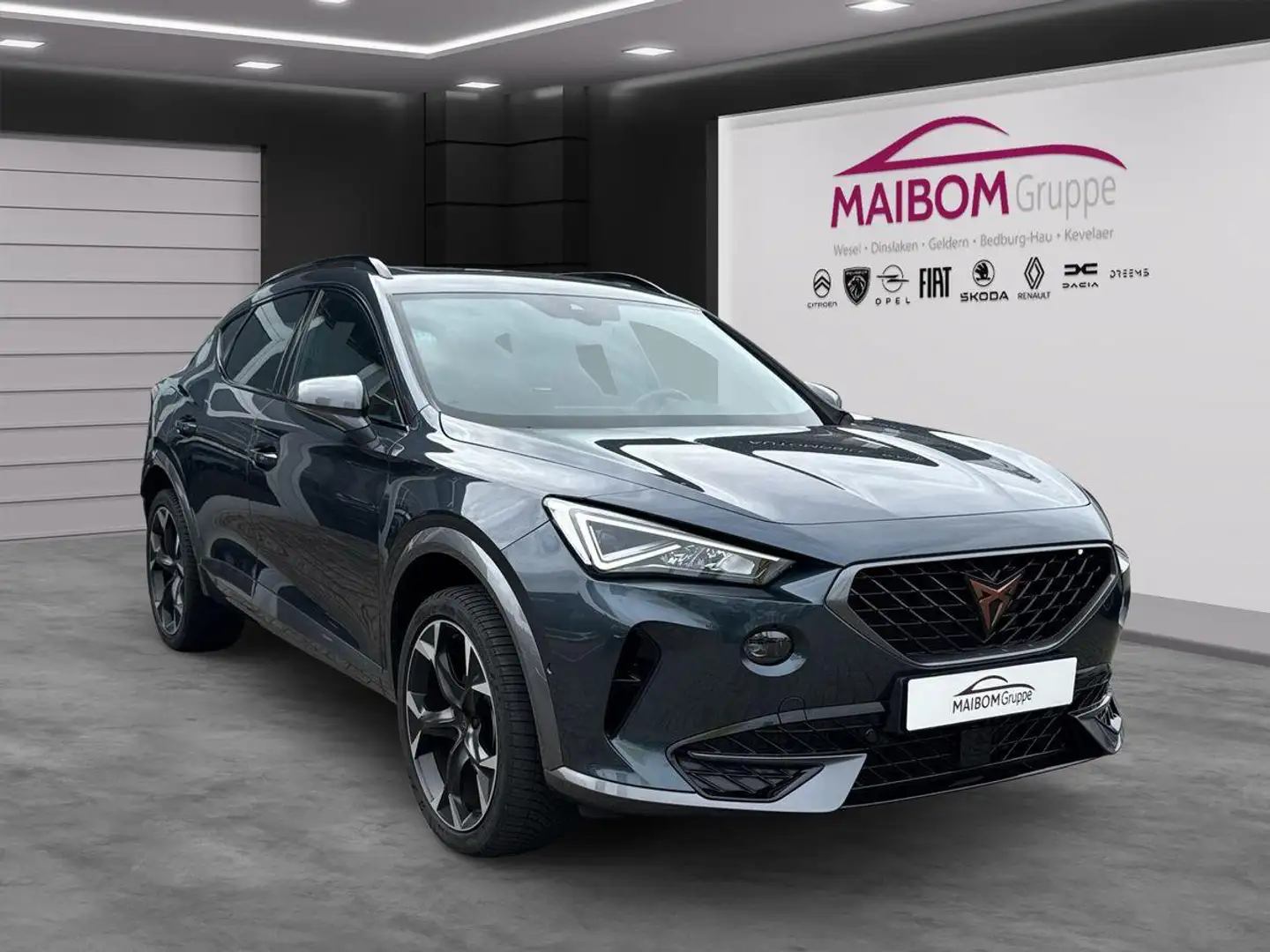 CUPRA Formentor 2.0 TSI Grau - 2