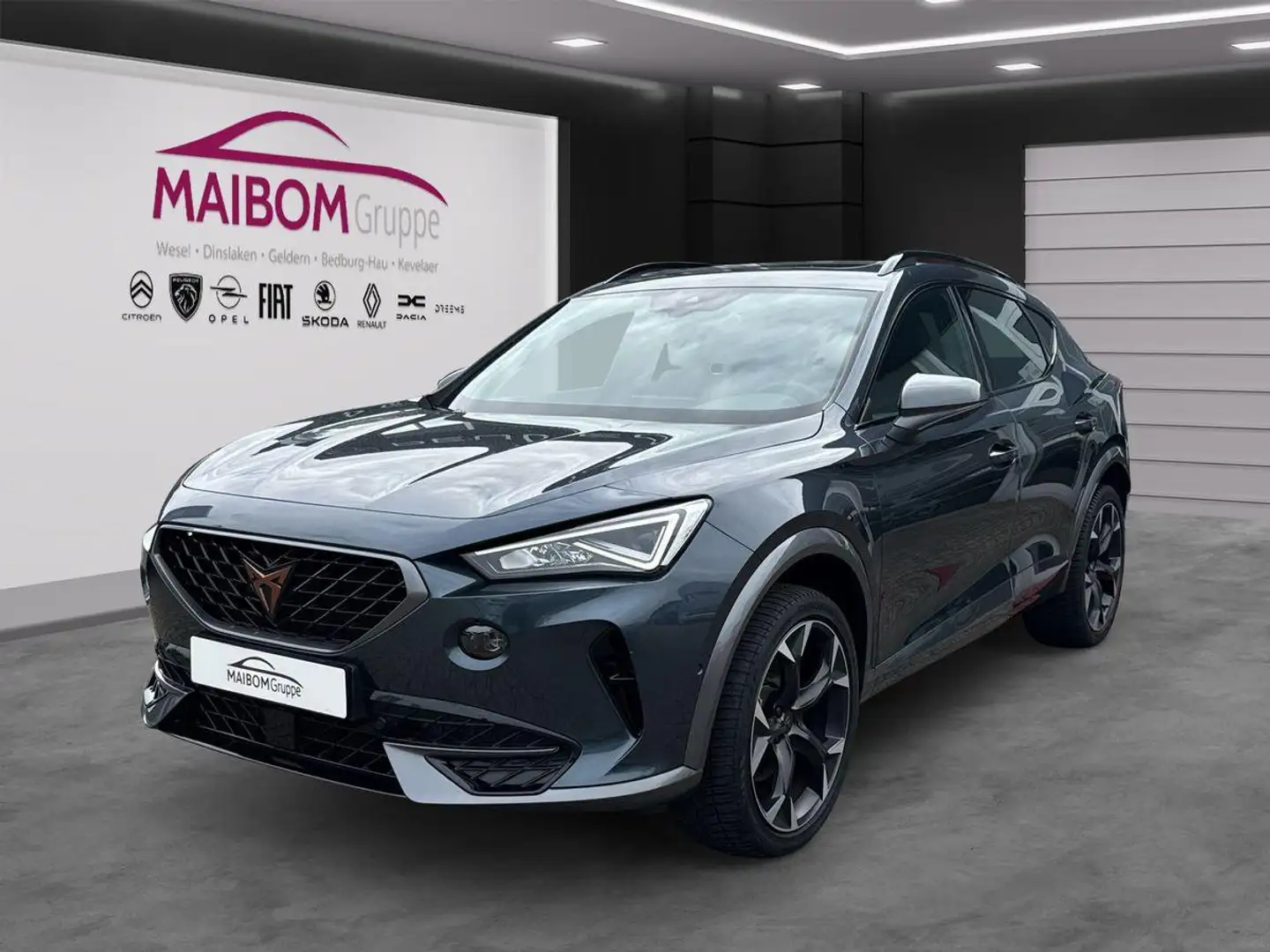 CUPRA Formentor 2.0 TSI Grau - 1