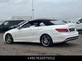 Mercedes-Benz E 350 CGI Cabrio Facelift AMG-Paket ILS LED H&K Weiß - thumbnail 24