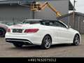 Mercedes-Benz E 350 CGI Cabrio Facelift AMG-Paket ILS LED H&K Weiß - thumbnail 17