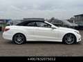 Mercedes-Benz E 350 CGI Cabrio Facelift AMG-Paket ILS LED H&K Weiß - thumbnail 14