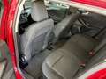 Ford Focus Traveller 2,0 EcoBlue SCR Titanium Rot - thumbnail 14