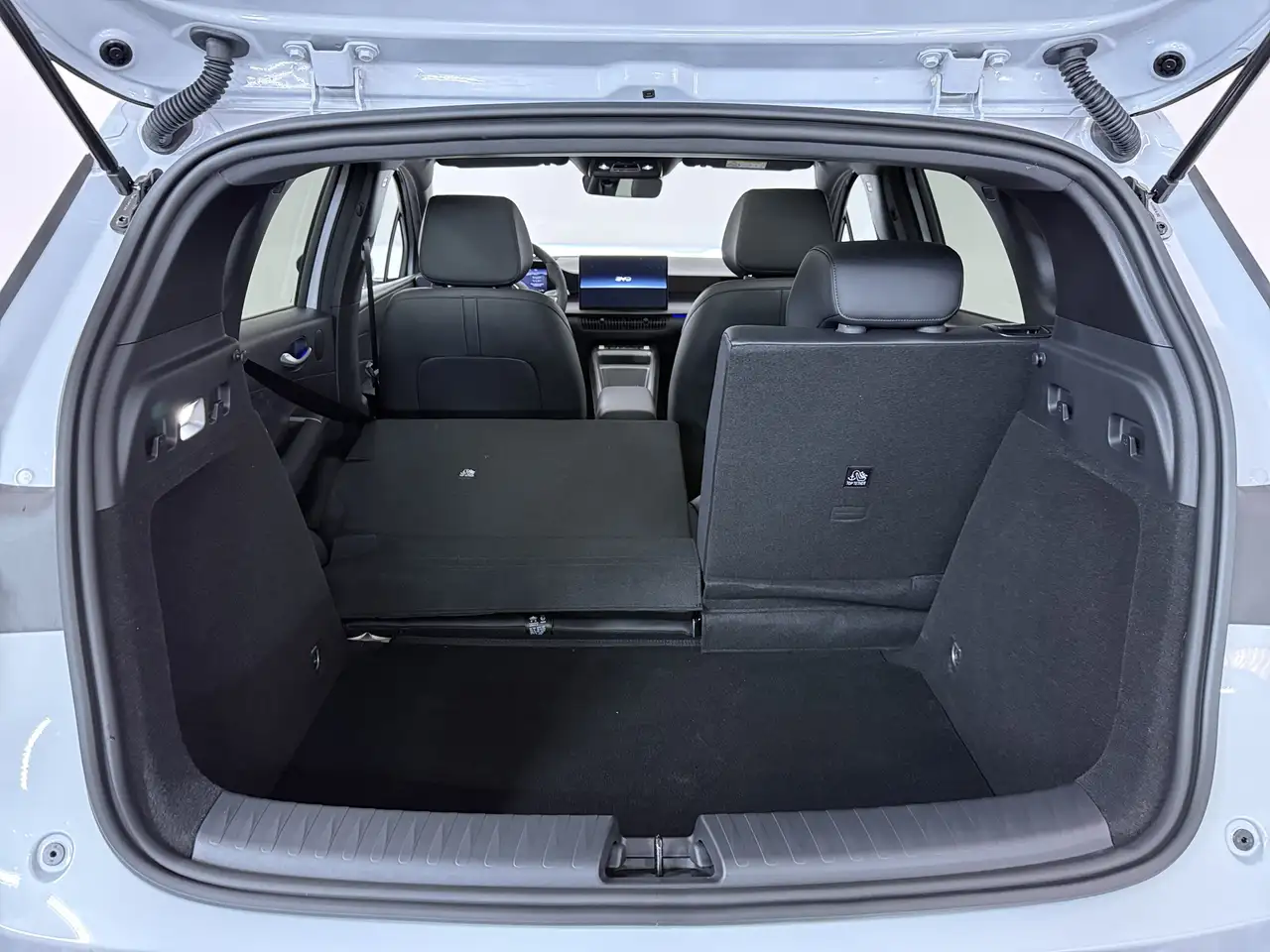 BYD Dolphin G 2026