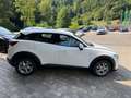 Mazda CX-3 Sky-G 121 Car Play Klimaautomatik Weiß - thumbnail 5