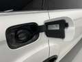 Audi Q7 4.2TDI Ambition Tiptronic Blanco - thumbnail 46