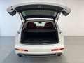 Audi Q7 4.2TDI Ambition Tiptronic Blanco - thumbnail 41