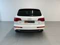 Audi Q7 4.2TDI Ambition Tiptronic Blanco - thumbnail 6