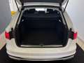 Audi A4 A4 V Avant 35 2.0 tdi B. Advanced 163cv s-tronic - thumbnail 6