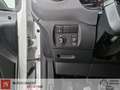 Citroen Berlingo BLUEHDI 55KW 75CV Bianco - thumbnail 14
