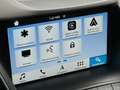 Ford C-Max Cool & Connect 1.0 EcoBoost, Lenkradheiz, Navi Gris - thumbnail 26