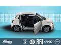 Fiat 500e 3+1 City Edition❗️Exclusiv Autohaus Mattern Deal❗️ Weiß - thumbnail 1
