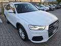 Audi Q3 Q3 2.0 tdi Business 120cv Bianco - thumbnail 3