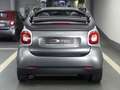 smart forTwo Cabrio *Finition Prime* Cuir Zilver - thumbnail 8