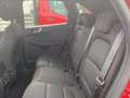 Ford Kuga PHEV 2WD ST-Line Automatica Rouge - thumbnail 9