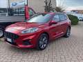 Ford Kuga PHEV 2WD ST-Line Automatica Rot - thumbnail 1