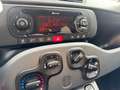 Fiat Panda City Life*Uconnect*1 Hand*Allwetterreifen* Blanc - thumbnail 15