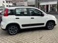 Fiat Panda City Life*Uconnect*1 Hand*Allwetterreifen* Blanc - thumbnail 5