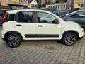 Fiat Panda City Life*Uconnect*1 Hand*Allwetterreifen* Blanc - thumbnail 7