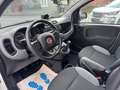 Fiat Panda City Life*Uconnect*1 Hand*Allwetterreifen* Blanc - thumbnail 11