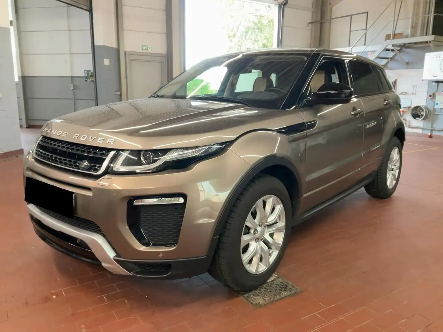 Land Rover Range Rover Evoque Evoque SE Dynamic, inkl. 24 Monate Garantie Braun - 1