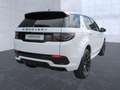 Land Rover Discovery Sport D200 R-Dynamic HSE AWD AHK/Winter Blanc - thumbnail 16