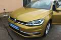 Volkswagen Golf VII Lim. Comfortline, Businesspaket Gelb - thumbnail 12