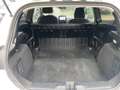 Ford Fiesta VAN 1.0 MHEV 125 CV S&S TREND Bianco - thumbnail 11