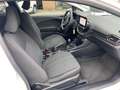 Ford Fiesta VAN 1.0 MHEV 125 CV S&S TREND Bianco - thumbnail 9