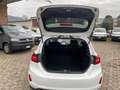 Ford Fiesta VAN 1.0 MHEV 125 CV S&S TREND Bianco - thumbnail 12