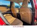 Volvo V40 2.0 T4  Inscription*Pano*Leder*Navi*Sport*19 Rot - thumbnail 14