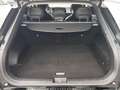 Kia EV6 77.4 AWD | WP | AIR | COM | ASS | DRI | SND Grün - thumbnail 11