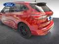 Ford Kuga NUEVO ST-LINE X 2.5 Duratec PHEV 165KW(225CV)Autom Piros - thumbnail 7