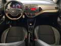 Kia Picanto 1.0 CVVT Exclusive Vol Opties Brun - thumbnail 14