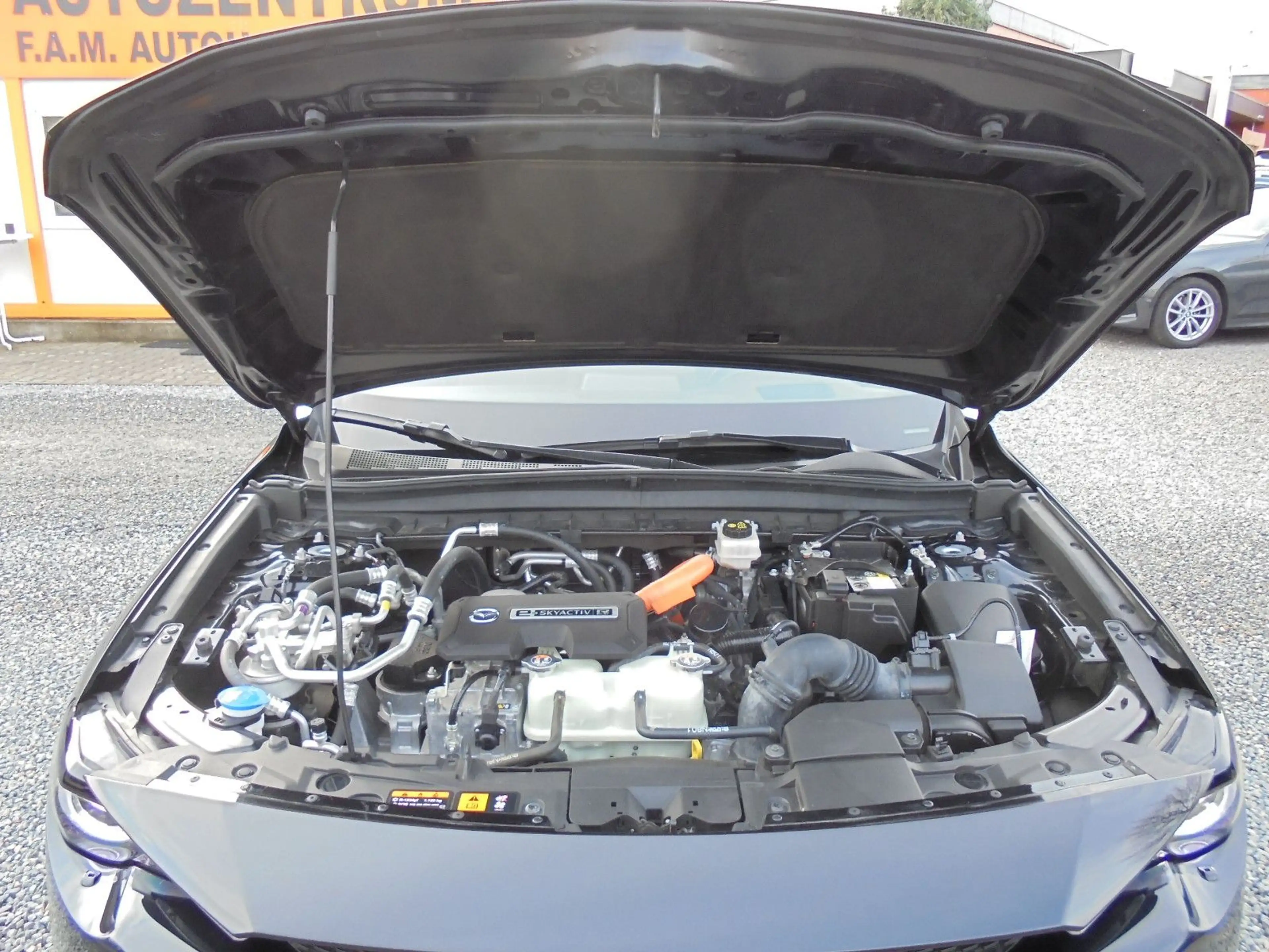 Mazda MX-30 Makoto Hybrid S-Dach*Navi*LED*Kamerea*TOP — photo 14