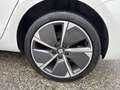 SEAT Leon SP 1,5 TSI ACT Xcellence Weiß - thumbnail 7