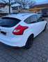 Ford Focus 1.6 TI-VCT Titanium - thumbnail 4