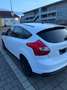 Ford Focus 1.6 TI-VCT Titanium - thumbnail 5