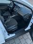 Ford Focus 1.6 TI-VCT Titanium - thumbnail 14