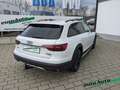 Audi A4 allroad Avant 40 TDi quattro S tronic Standheizung AHK Biały - thumbnail 6