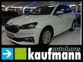 Skoda Fabia FABIA STYLE 110 PS DSG SHZ PDC APP TEMPOMAT LM Weiß - thumbnail 1