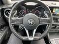 Alfa Romeo Stelvio Stelvio 2.0 T AWD*Q4*CAM*NAV*Dégats carrosserie Grau - thumbnail 21